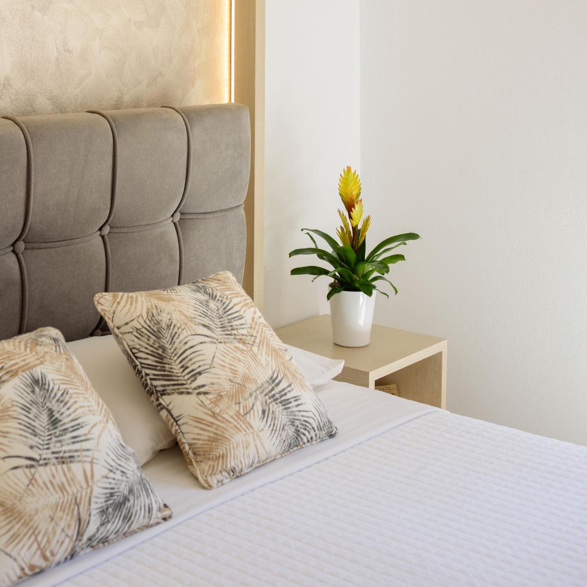 Apartament Petros *